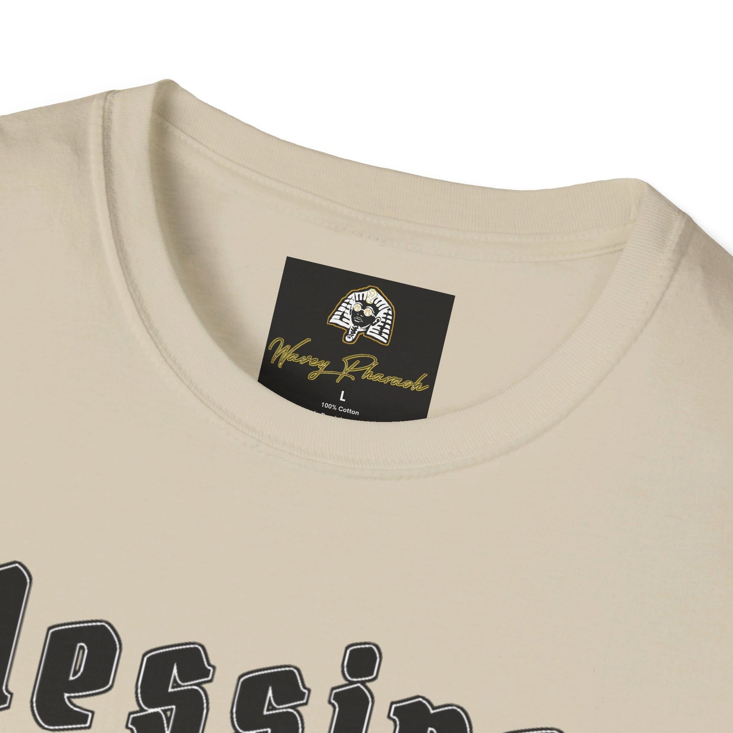 Blessings & Lessons BLK Tee '24